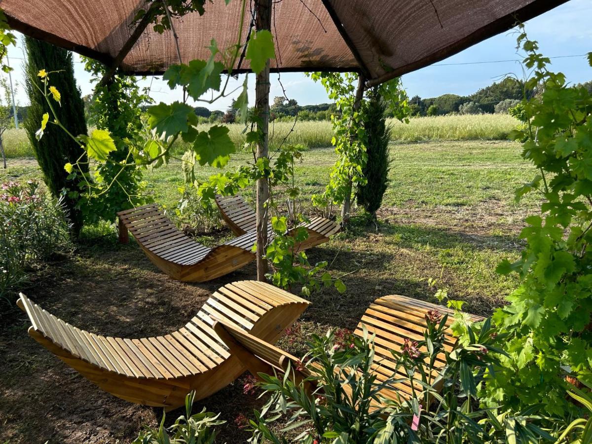 Fattoria Palazzeta - Pet & Family Friendly Aparthotel Cecina  Exterior photo